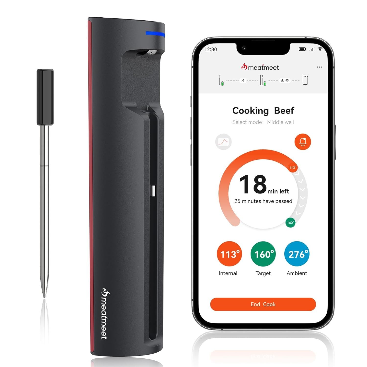 Meatmeet Pro Smart WiFi Wireless Meat Thermometer Review