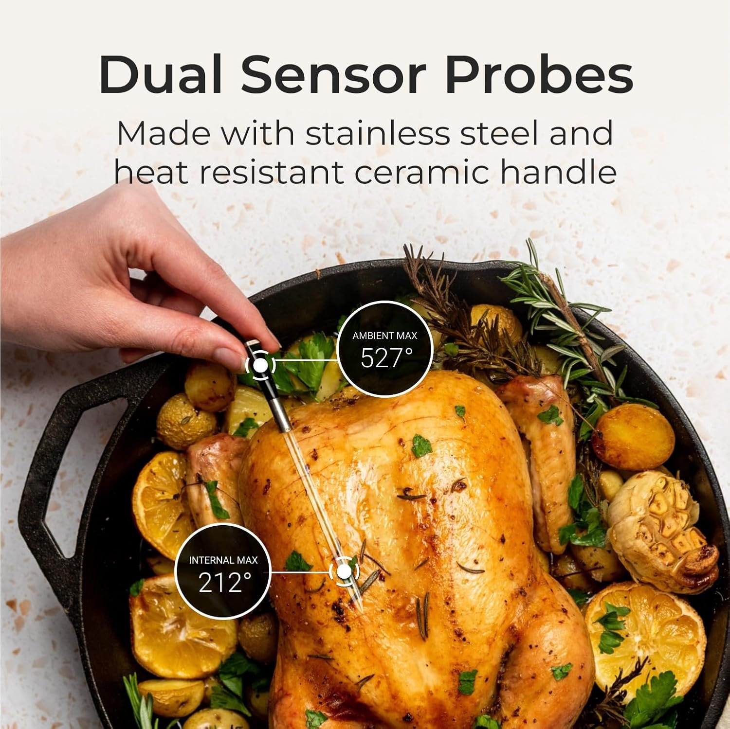 MEATER SE Meat Thermometer Review