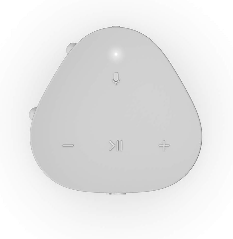 Sonos Roam - Black - Wireless Portable Bluetooth Speaker