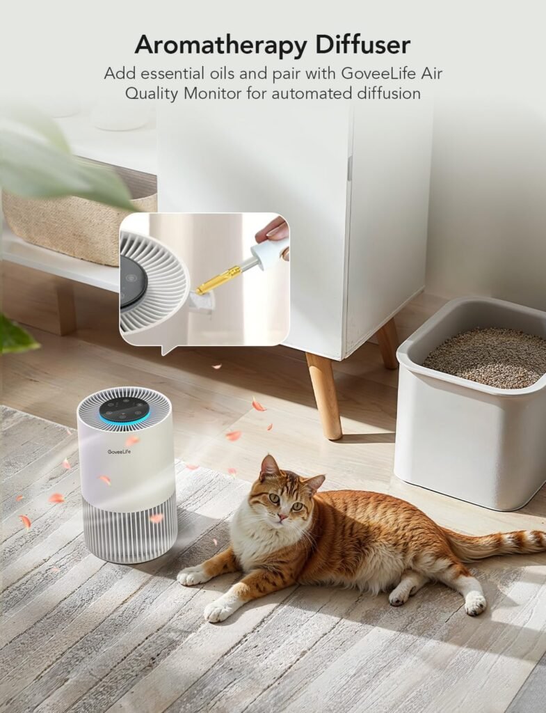 GoveeLife Smart Air Purifiers for Bedroom, HEPA Portable Filter Cleaner with WiFi Alexa Control for Pet Hair Odors Pollen Smoke, 24dB Quiet Air Purifier with 3 Speeds, Timer, Aromatherapy for Desktop