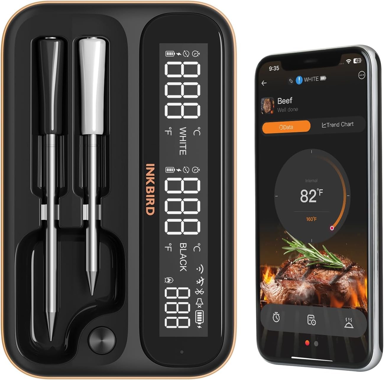 5GHz & 2.4GHz WiFi Wireless Meat Thermometer Review