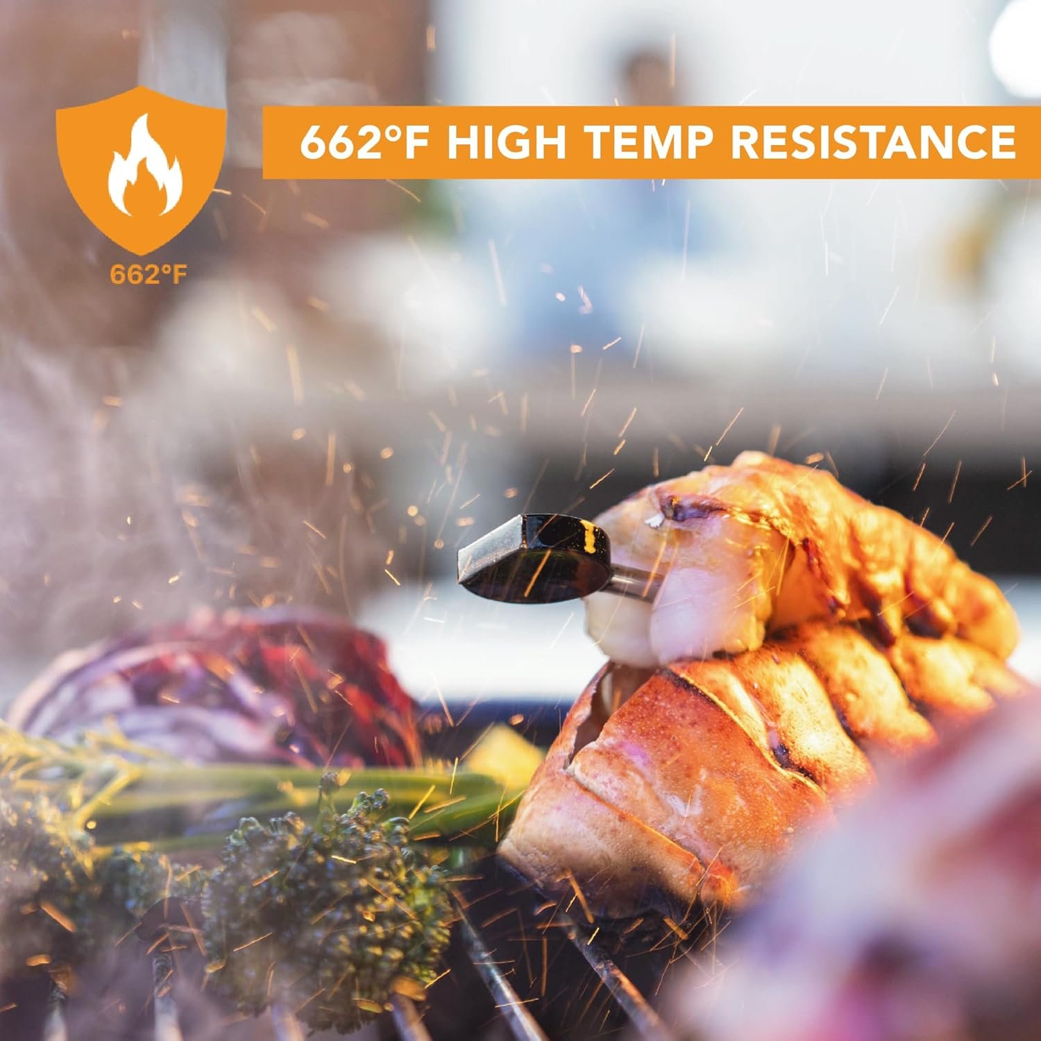 ProTemp Plus Next-Gen Wireless Meat Thermometer Review